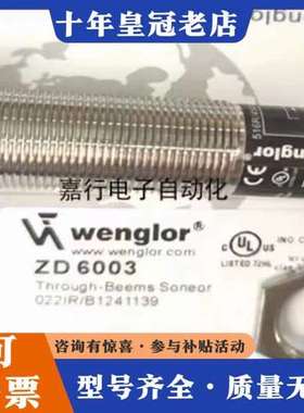 议价 威格勒光电开ZD6003可维修
