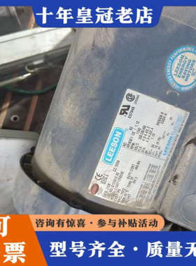 议价美国Leeson电机  有6个 轴承很顺议价