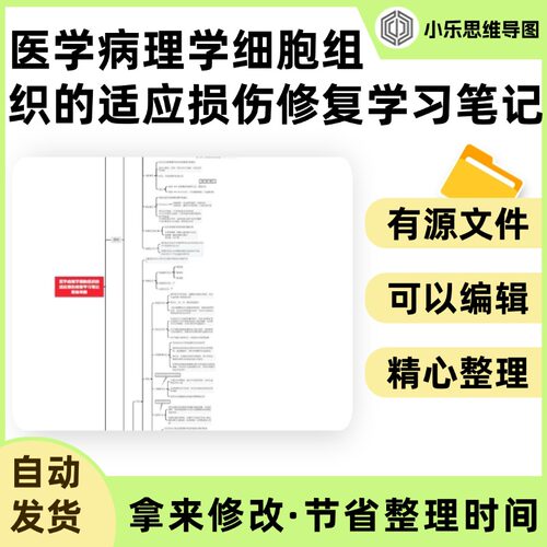 医学病理学细胞组织的适应损伤修复学习笔记思维导图Xmind笔记制