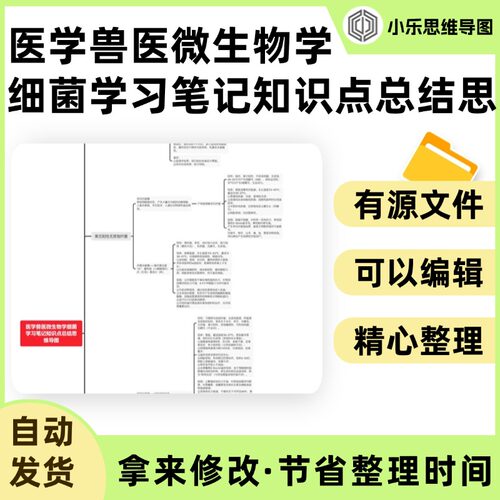 医学兽医微生物学细菌学习笔记知识点总结思维导图Xmind笔记制作