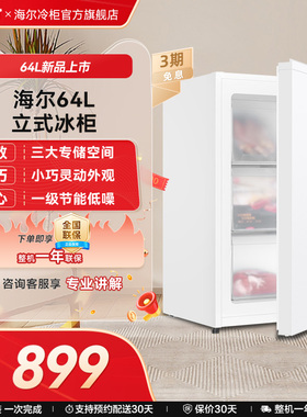 海尔64L母乳储奶冷冻柜迷你家用保鲜冰柜小型立式1级节能冷柜冰箱