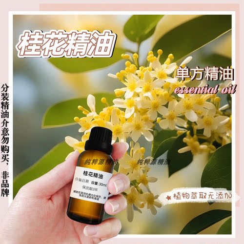 桂花精油纯天然单方净化空气