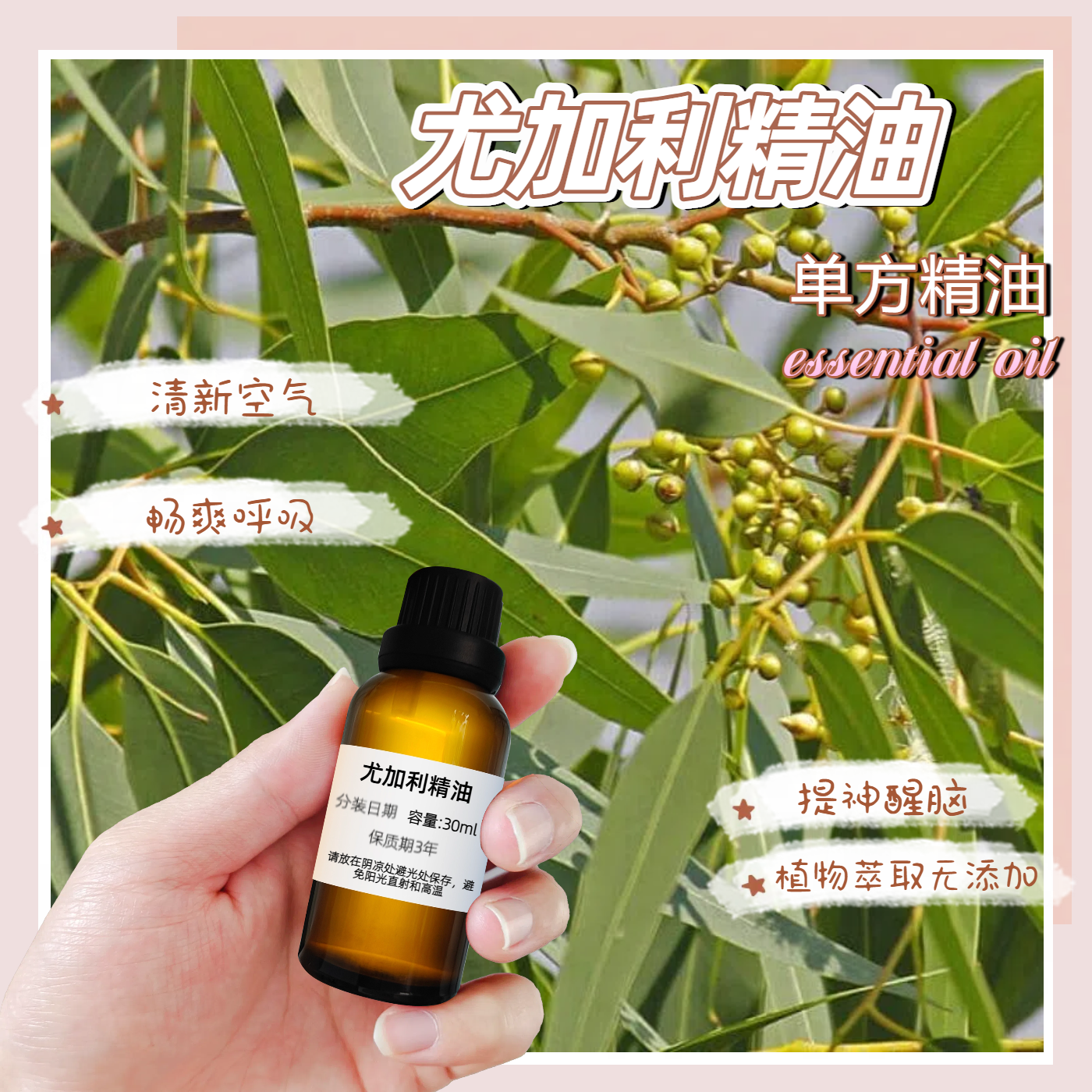 天然尤加利精油单方香薰防感冒驱蚊驱虫净化空气纯植物油缓解酸痛