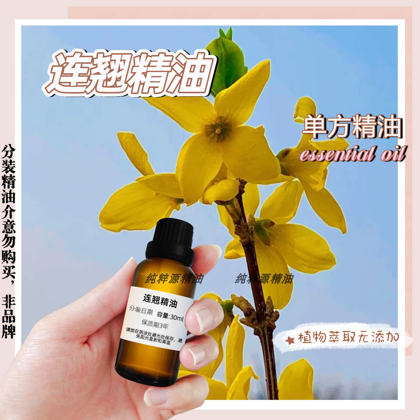 连翘精油30ml挥发单方精油