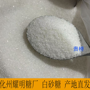 广东茂名化州耀明糖厂白砂糖橘城牌一级白砂糖商用家用食用糖现货
