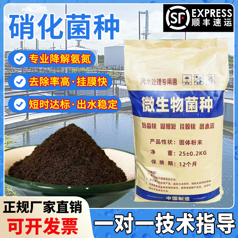 硝化菌种降氨氮脱氮菌种