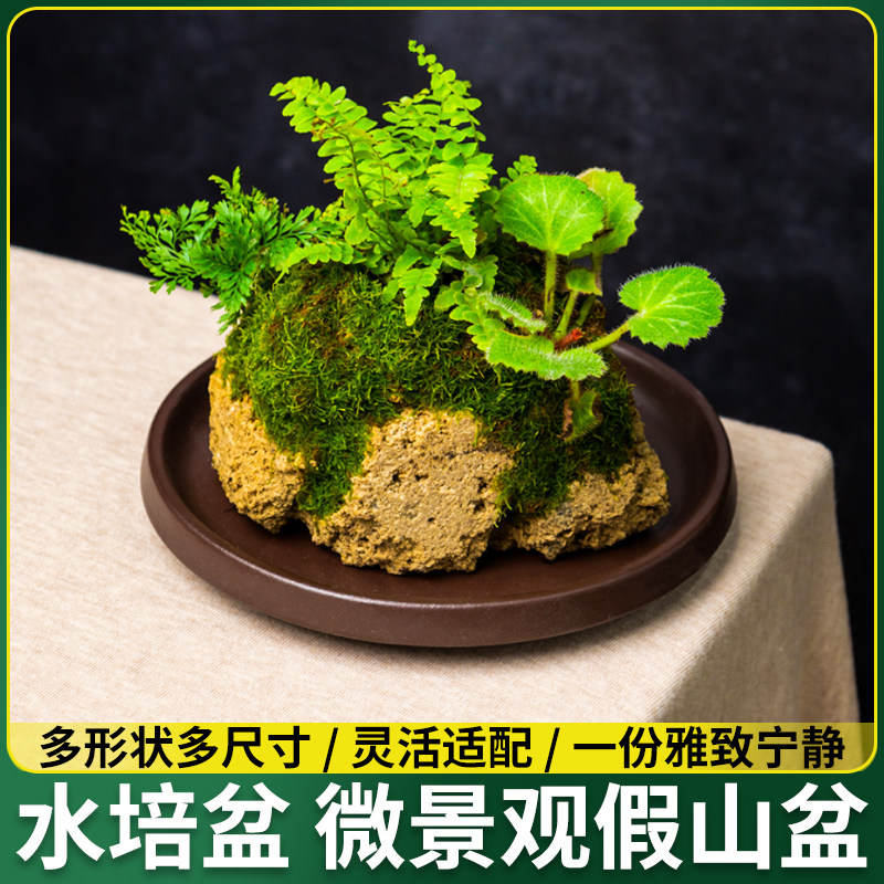 紫砂盆景盆长方形大号吸水石丛林水旱造景假山盆大口浅底异形花盆