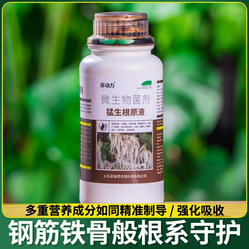 生根液植物通用快速强力生根壮苗剂扦插生根专用水溶肥猛生根原液