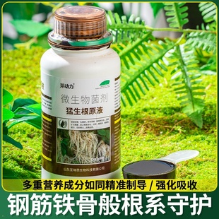 金弹子爆根剂专用生根壮苗水溶肥复活营养粉原液扦插强力猛活力素