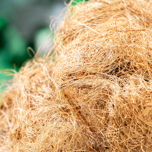 园艺椰丝铺面花盆覆盖物填充物椰棕丝盆栽装饰植物种花棕榈花店装