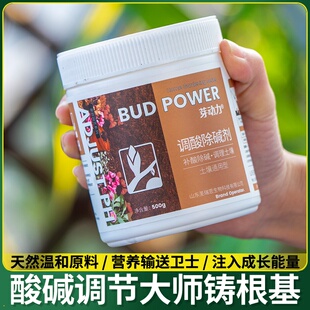 柠檬酸花卉专用肥料硫酸亚铁伴侣杜鹃酸性植物通用型土壤调酸剂补