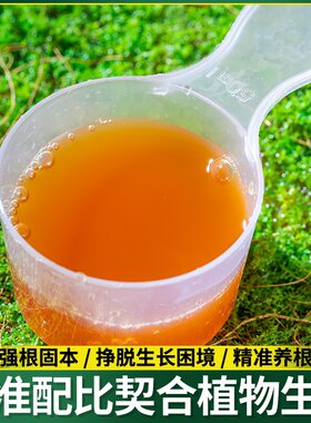 金弹子爆根剂专用生根壮苗水溶肥复活营养粉原液扦插强力猛活力素
