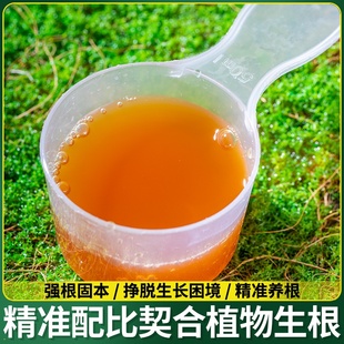 金弹子爆根剂专用生根壮苗水溶肥复活营养粉原液扦插强力猛活力素