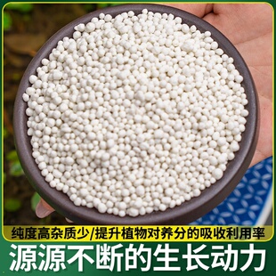 蓝莓专用肥料硫酸钾复合肥蓝莓树有机肥专用土酸性缓释肥改善黄叶