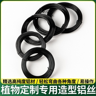 绑扎三角梅绿植造型铝丝盆景专用吕丝压枝固定线植物铝线绑花铁丝