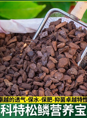 兰花植料新西兰奥科特Orchiata进口松树皮栽培专用基质透气保湿松