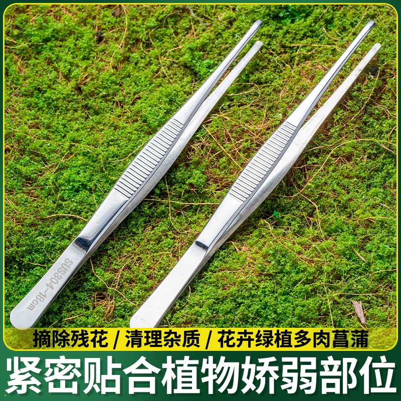 304不锈钢大镊子多肉植物上盆修根种植拔枯叶多型号耐用加厚防滑