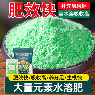 植物水溶肥料盆栽爆花通用型花卉肥月季生根绣球花无缺补充剂强