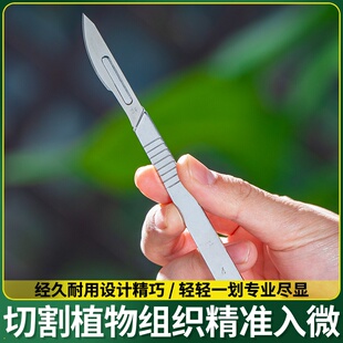 多肉植物砍头刀嫁接刀扦插多肉工具美工刀园艺工具水仙雕刻刀多肉