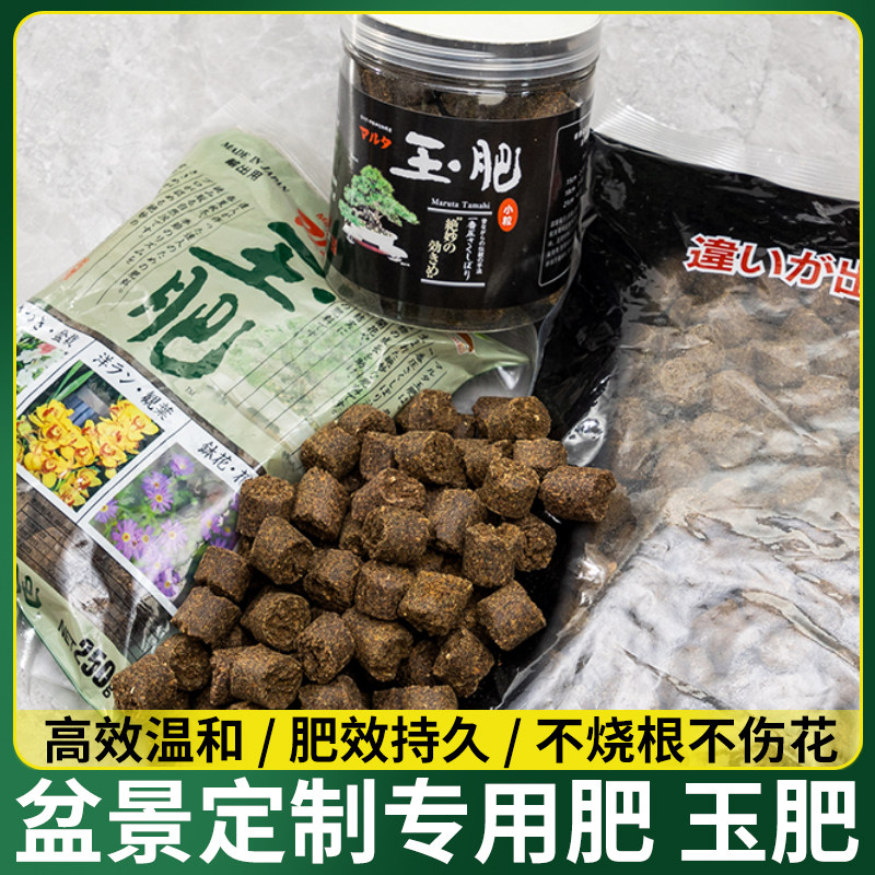 日本进口玉肥盆景专用肥料松柏肥料盒颗粒缓释肥通用肥绿植养花肥,鲜花速递/花卉仿真/绿植园艺,家庭园艺肥料,淘宝优惠券,粉丝福利购,淘宝优惠卷