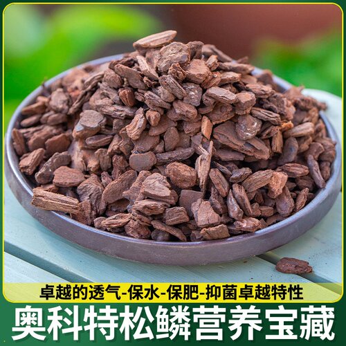 松磷松鳞椰丝陶粒园艺绿植多肉花盆铺面装饰专用栽培基质透气松鳞