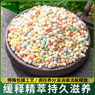 花肥家用通用型花卉肥料植物颗粒缓释肥速效全能型三元复合肥环