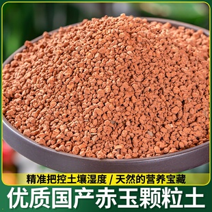 颗粒硬质赤玉土金松土大小粒多肉铺面天然苔藓盆景爬宠守宫用专土