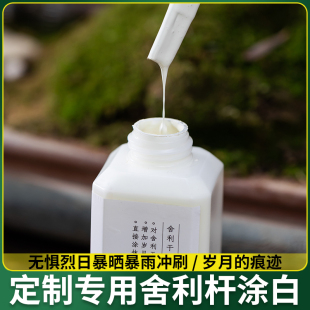 盆景专用舍利干杆涂白剂防水晒石硫合剂园艺制作工具铝丝造型用品