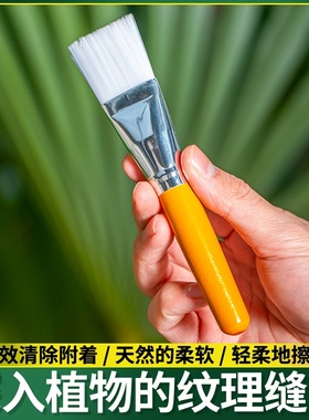 授粉毛笔授粉刷授粉点子笔蔬菜授粉笔水果树授粉莲花授粉等套装组