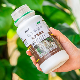 金弹子爆根剂专用生根壮苗水溶肥复活营养粉原液扦插强力猛活力素