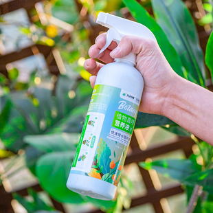 龟背竹营养液免稀释喷施叶面肥水培龟背竹专用肥防黄叶锈斑病营养