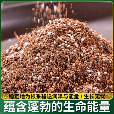 土中土种菜专用土有机营养土壤蔬菜家庭阳台泥土种植土肥料育苗栽