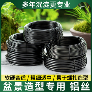 盆景造型专用铝丝园艺铁丝家用花卉罗汉松定型铝丝铝线蟠扎绑盆栽