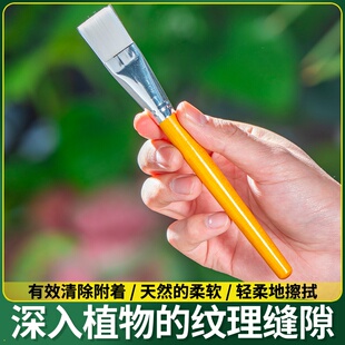 羊毛笔金箔银箔贴纯金纯银专用辅助工具扫箔扫金笔勾线笔绘画画笔