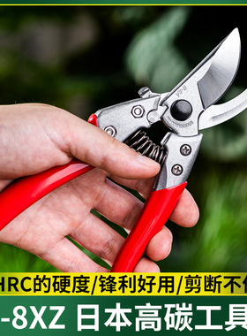 日本进口ARS爱丽斯修枝剪爱丽丝剪枝剪刀果树修剪树枝园艺园林剪