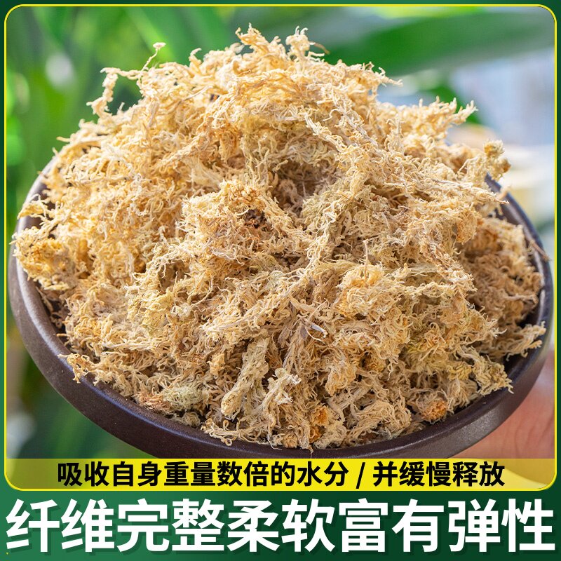 蝴蝶兰食虫草专用毛毛虫干草水苔透气保湿栽培基质专用环保天然苔