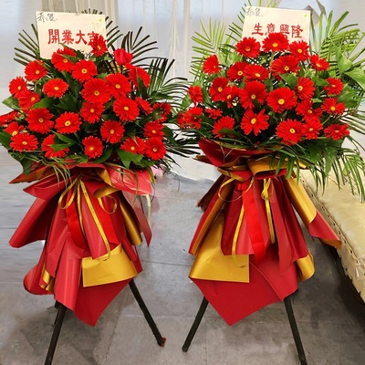 海口市花店大麦鲜花开业花篮秀英区龙华区便宜开张乔迁同城配送