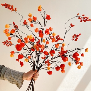 灯笼果红果假花仿真花摆设家居新年装饰花艺摆件客厅电视柜软装花