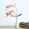 Товары от 花房＆姑娘
