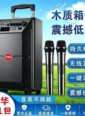 万利达移动大功率无线广场舞音箱