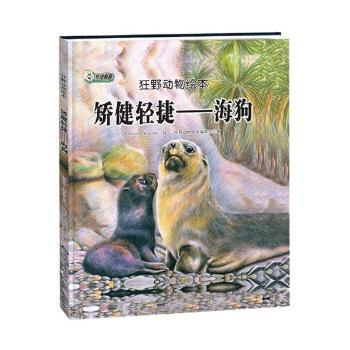 【现货】 矫健轻捷:海狗 狂野动物绘本编委会编 9787559322951 黑龙江美术出版社 儿童读物/童书/绘本/图画书/少儿动漫书