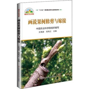 农业 编 现货 农业技术 中国农业科学技术出版 9787511640710 刘凤之 社 农业基础科学 画说果树修剪与嫁接 工业 王海波