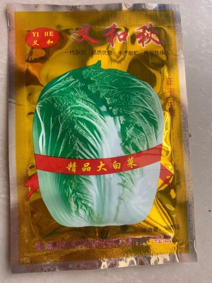 蔬菜种子早熟高产秋季胶州大白菜