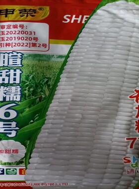 申荣甜糯玉米种子大全四季春秋种植黏玉米非转基因杂交大田超甜