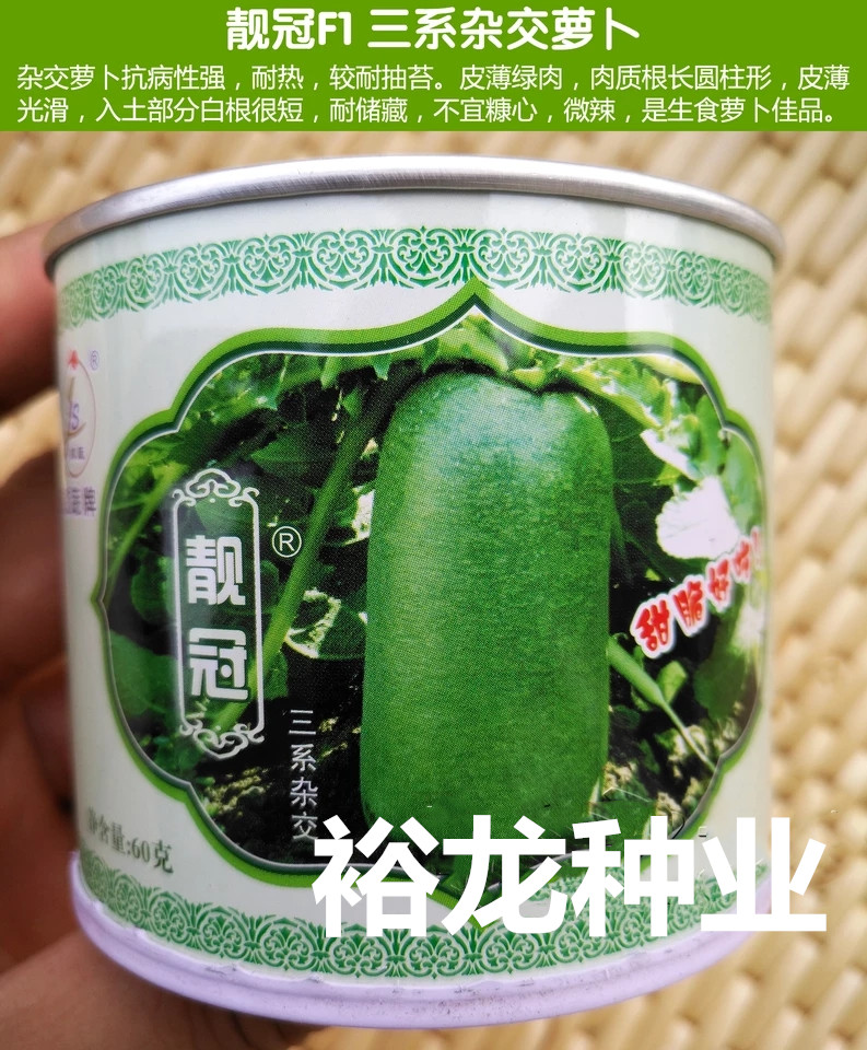翠绿大青萝卜种子秋季春季四季翠绿靓冠三系杂交罗卜种籽包邮