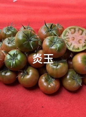 日本坂田大果草莓番茄种子炎玉草莓西红柿籽东北铁皮柿子种子孑