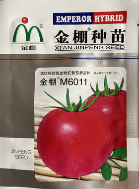 金棚M6011番茄蔬菜种子高抗根结线虫粉色果实高圆光泽均匀硬度好
