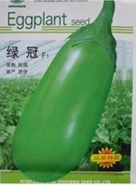 蔬菜基地茄子种子绿冠F1茄子种子绿色茄子早熟 抗病 高产 10g