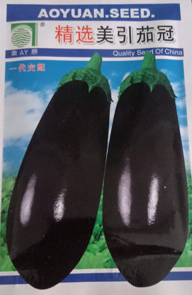 蔬菜种子 改良美引茄冠 茄王 紫黑油亮长茄 绿萼长茄10克