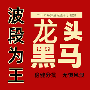 股票量化波段战法龙头黑马妖股主升浪集合竞价分时抄底抓涨停指标
